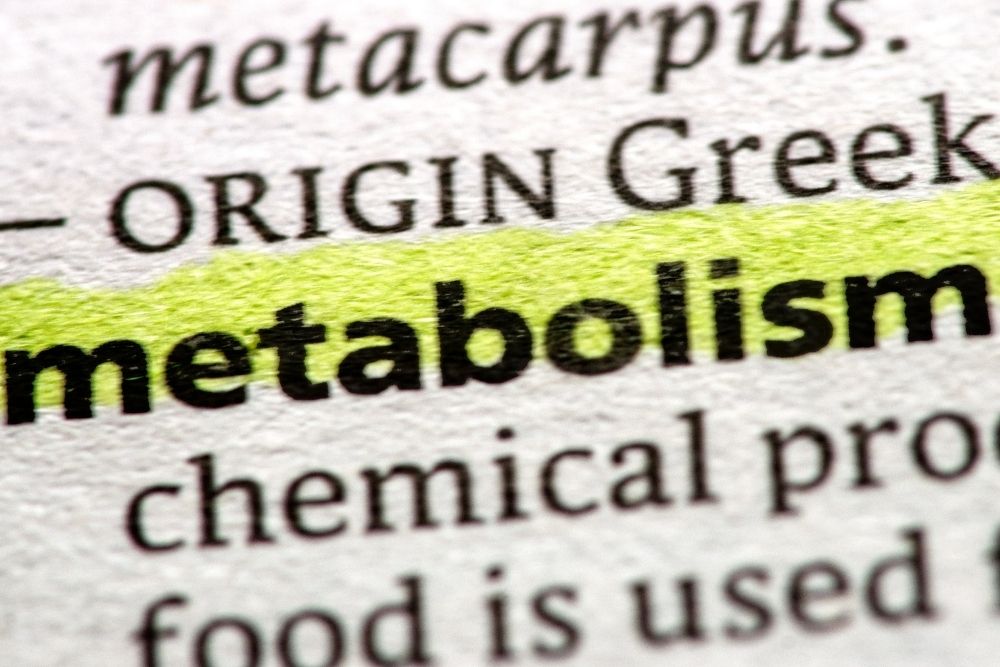 Close-up of the word metabolism highlighted in a dictionary